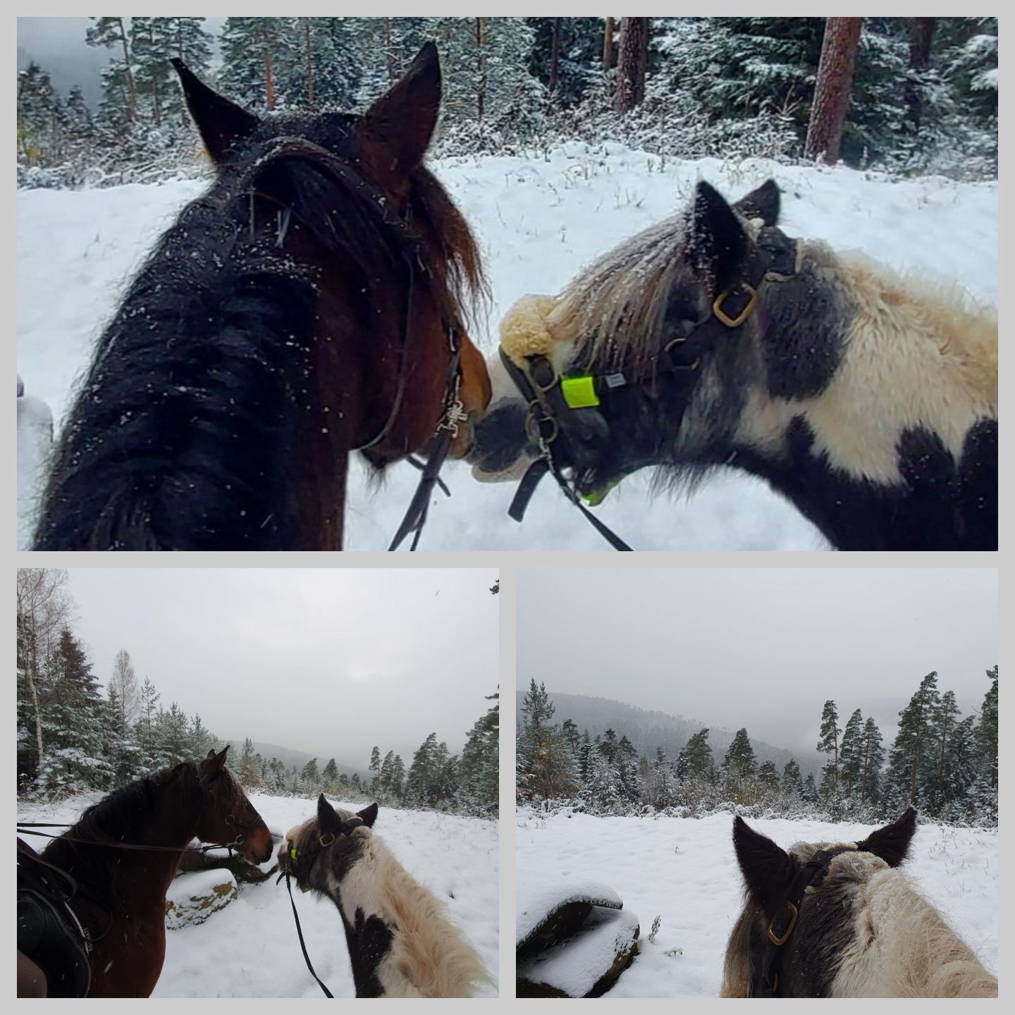 2023 11 November 626